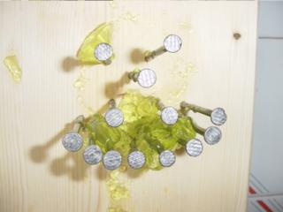 Small piece of jelly breaking up